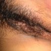 August04 2008 029.JPG