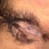 August04 2008 042.JPG