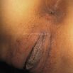January28 2008 073.jpg
